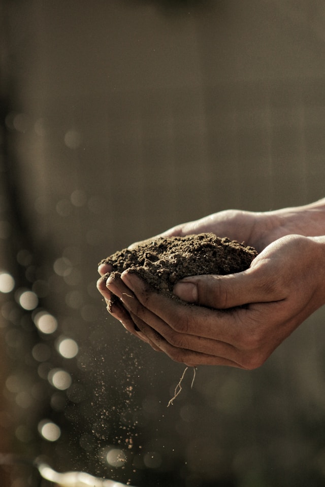How to Find a Reliable Organic Food Supplier Without Compromising on Quality